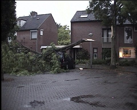 Storm 20072002_001.jpg (48741 bytes)