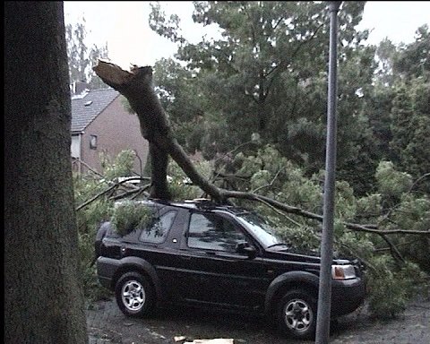 Storm 20072002_002.jpg (62342 bytes)
