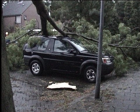 Storm 20072002_003.jpg (61560 bytes)