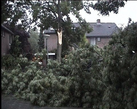 Storm 20072002_004.jpg (63342 bytes)